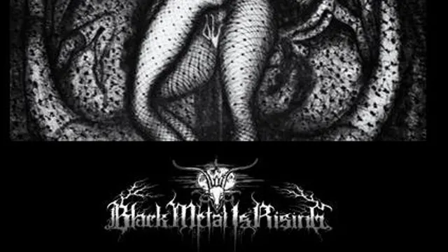 Black Metal Is Rising