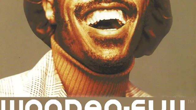 Wonder-Full : a Tribute to Stevie Wonder by DJ Spinna