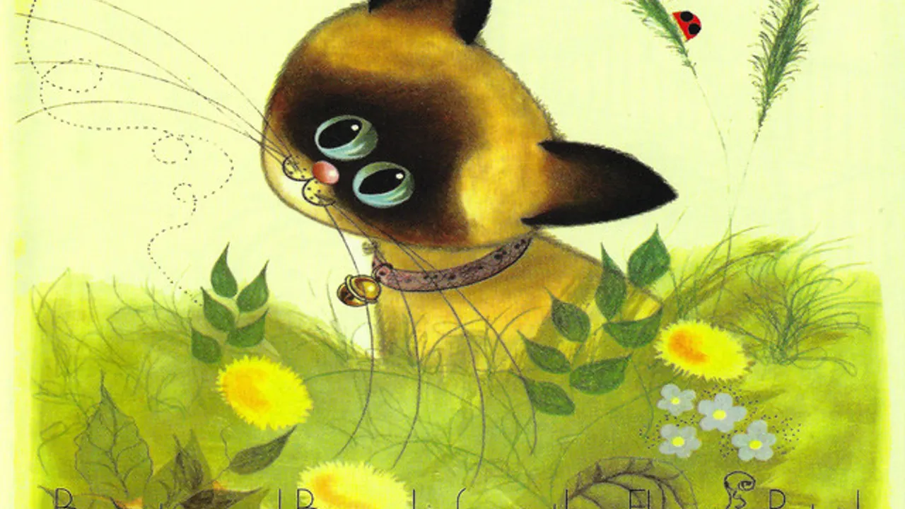 Kitty Craft