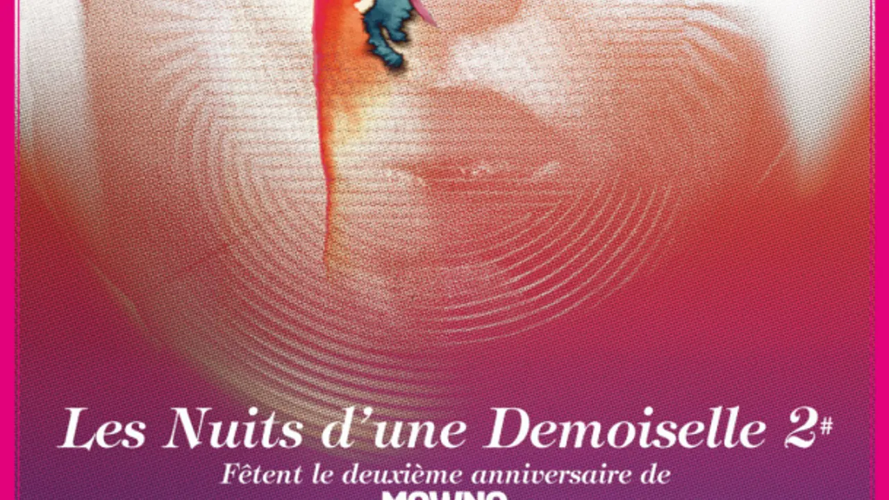 LES NUITS D'UNE DEMOISELLE #2