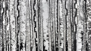 Exposition Pierre-Luc Poujol