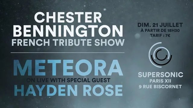 Chester Bennington French Tribute Show