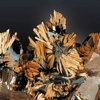 Galerie de Minéralogie et de Géologie