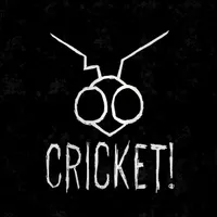 Cricket!
