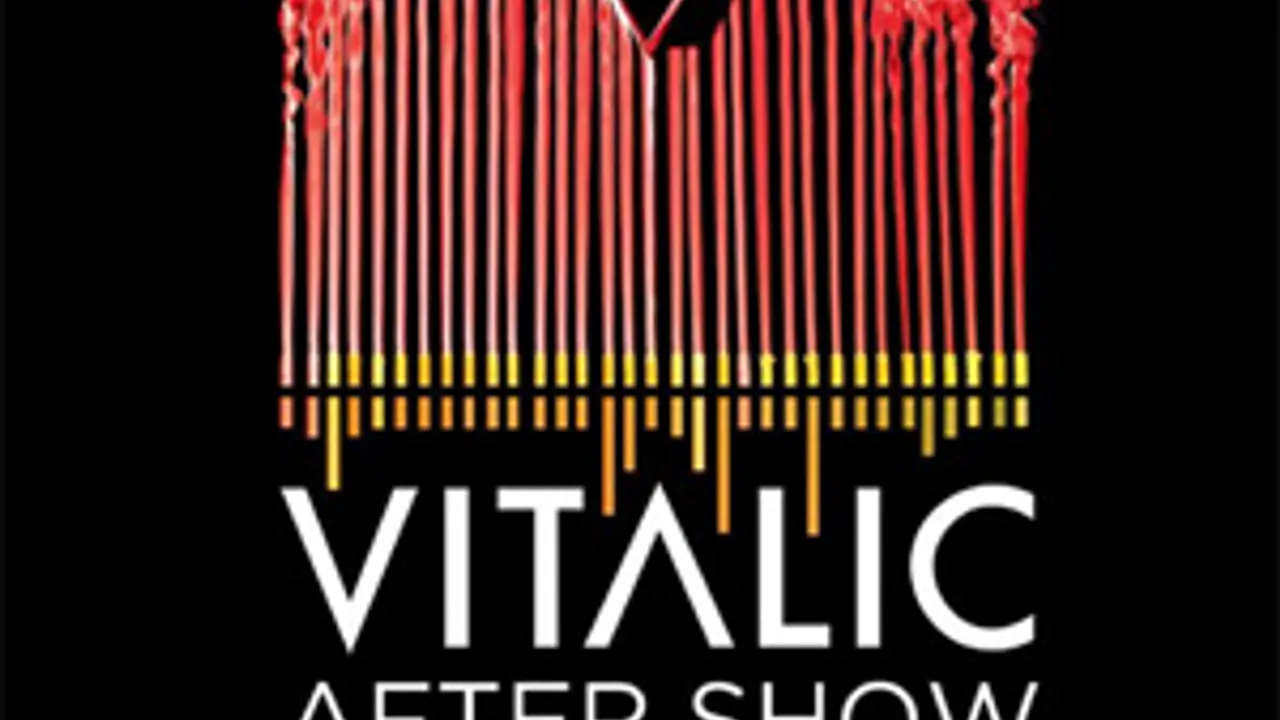 Vitalic After show