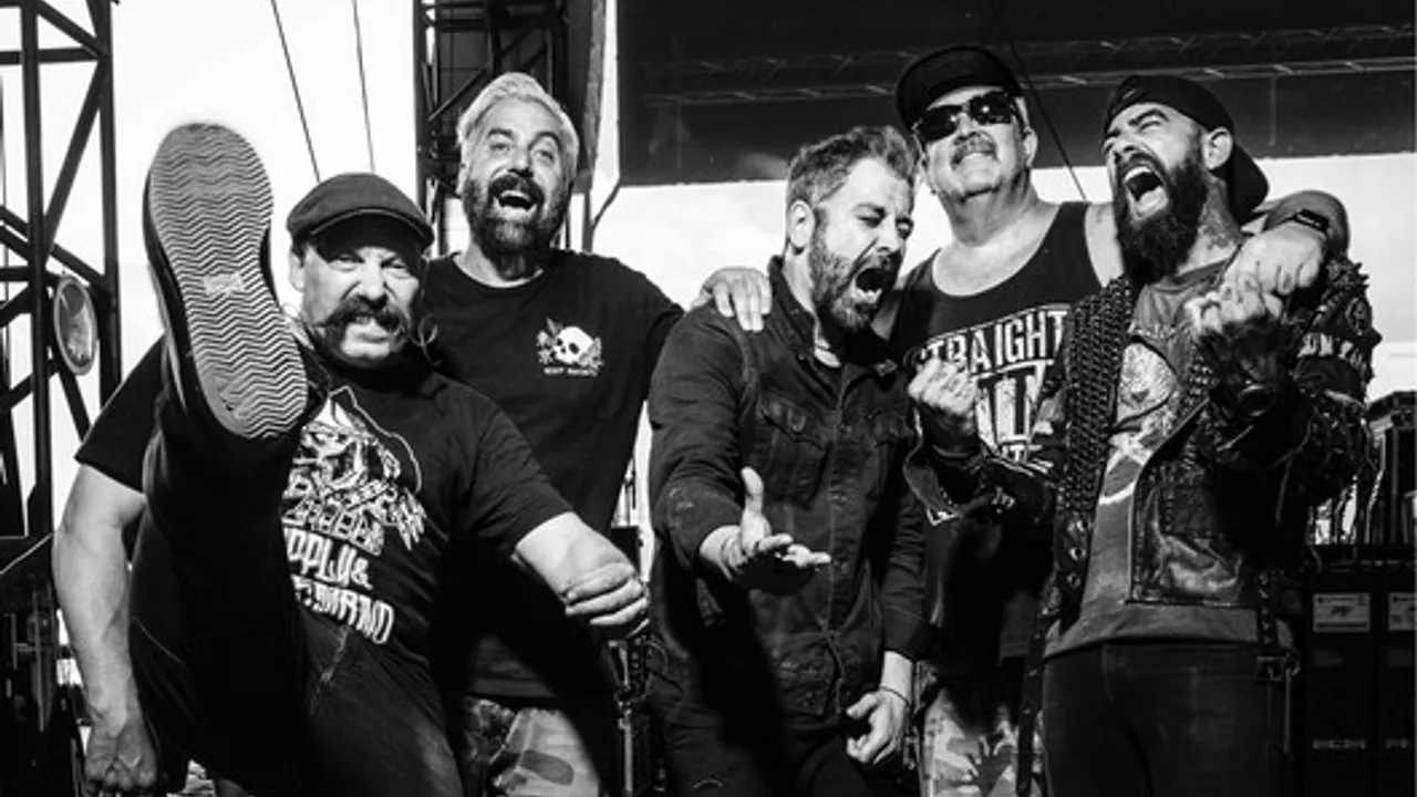 Zebrahead