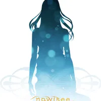 nowisee
