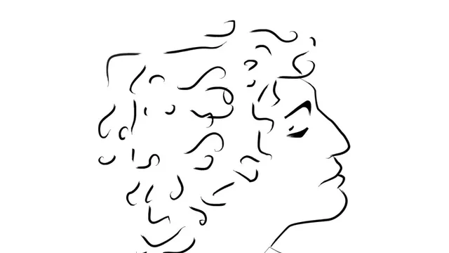 Michel Berger, Variations