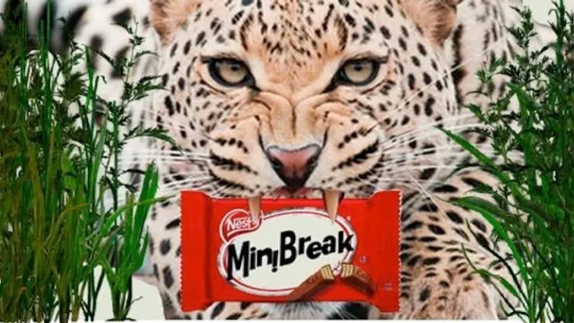 MiniBreak