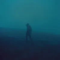 .diedlonely