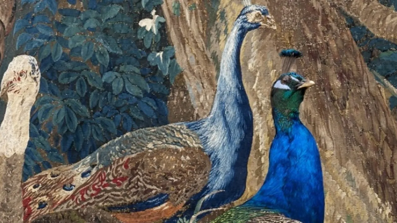 Les Animaux font le mur