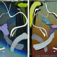 DOUBLE EXPOSITION