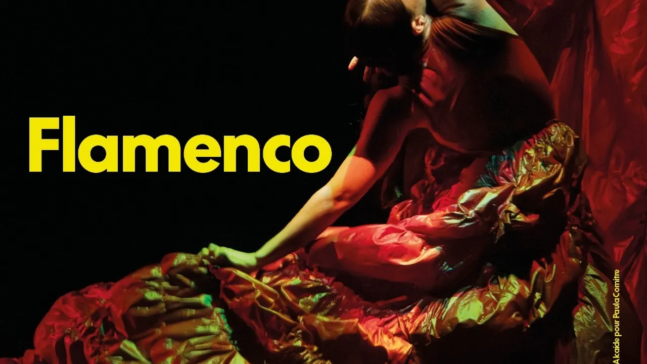 Chaillot Expérience Flamenco