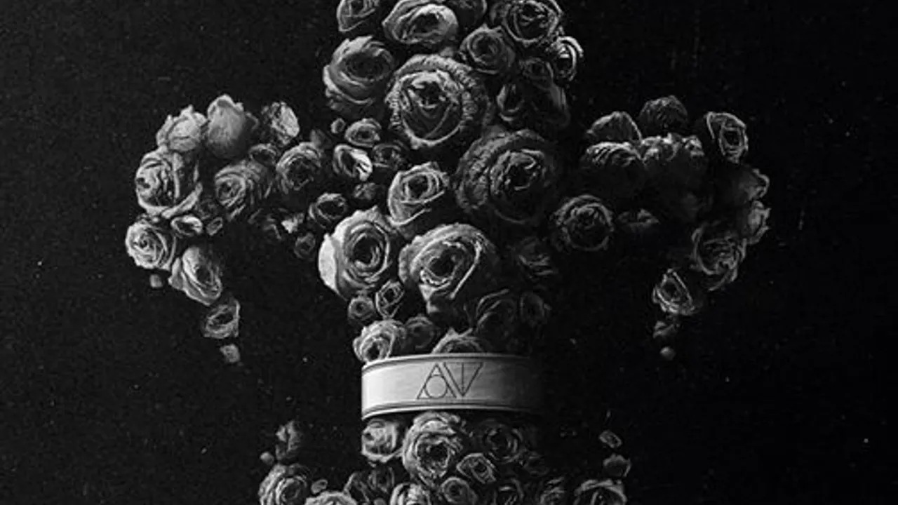 Our Theory + Hot School + Houston + Lie To Meet You