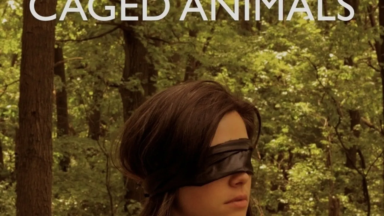 Caged Animals en concert