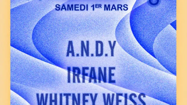 Nouveau Disco: A.N.D.Y, Irfane, Whitney Weiss