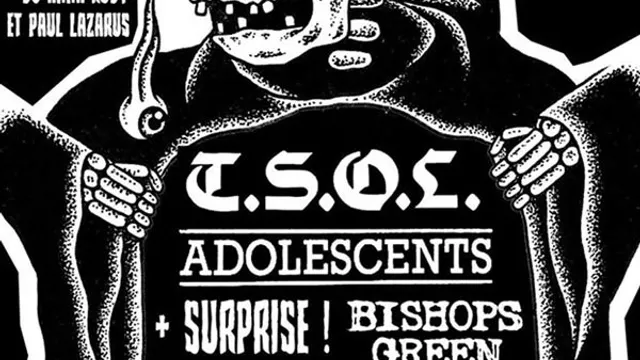 T.S.O.L - Adolescents - Casualties etc..