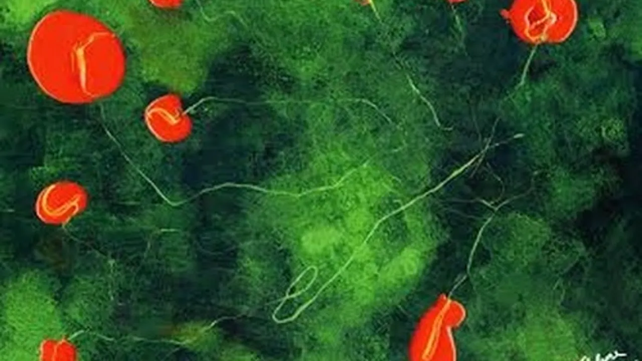 Alicia Lefebvre - Réappropriation