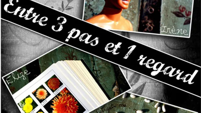 Entre 3 pas et 1 regard