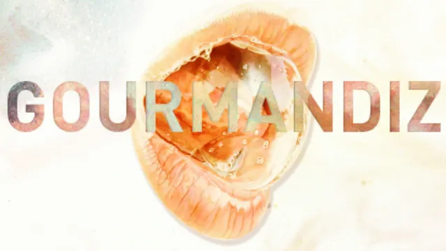 GOURMANDIZ
