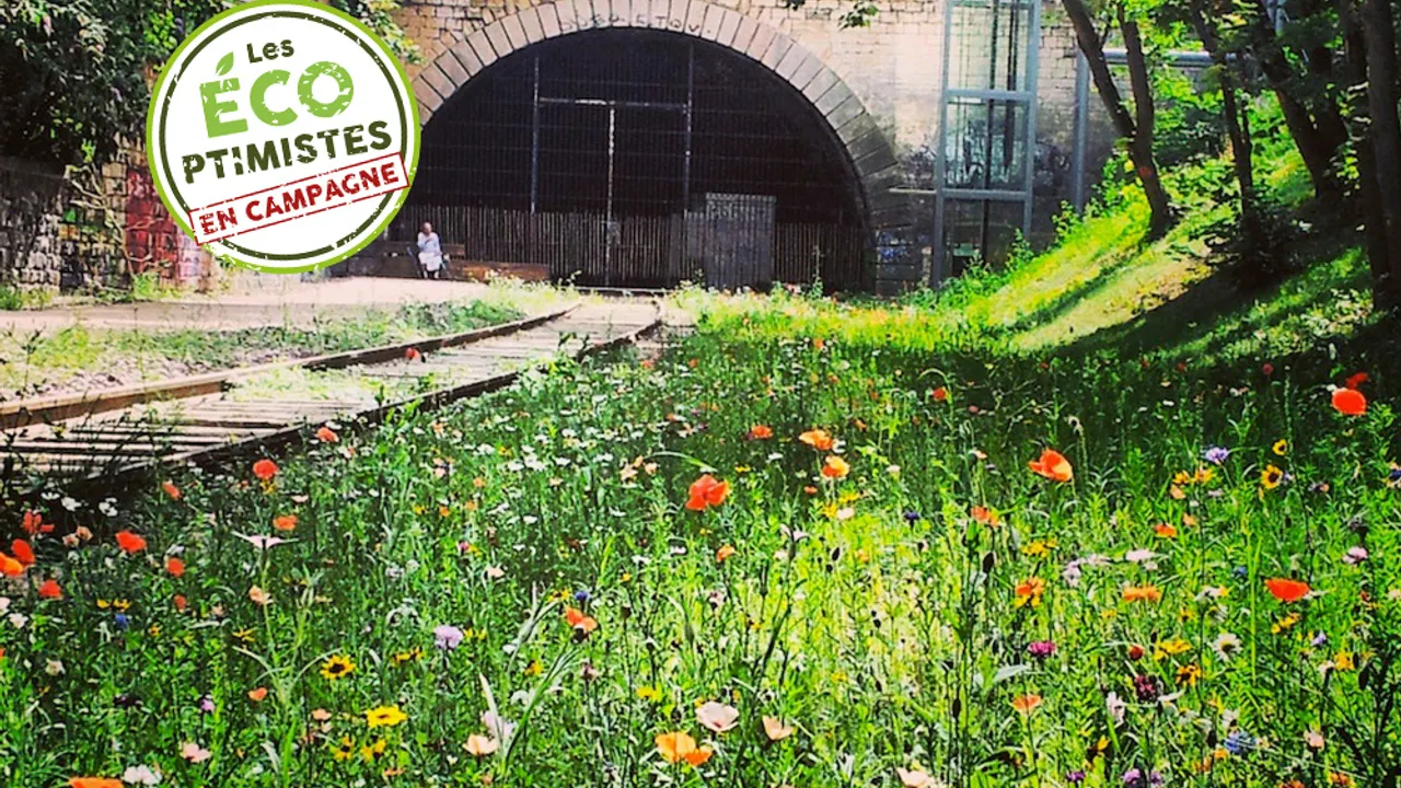 Petite Ceinture, futur réservoir parisien de la biodiversité ?