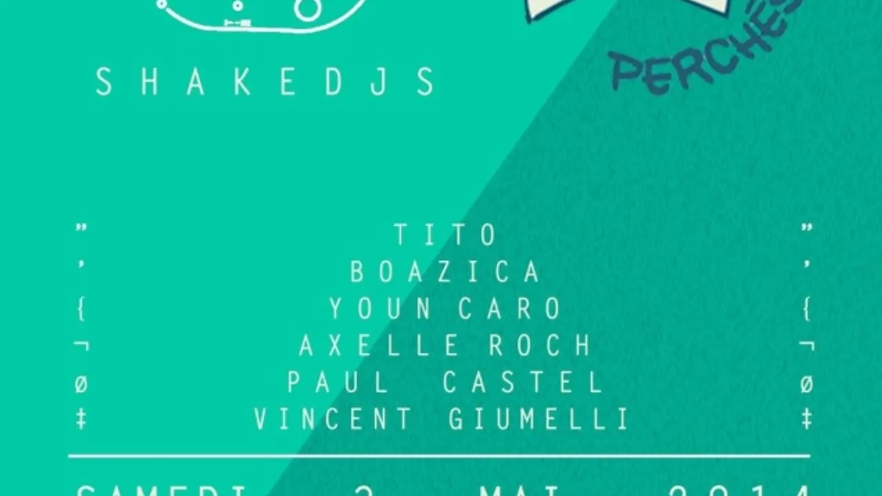 Shake DJs vs Chats Perchés