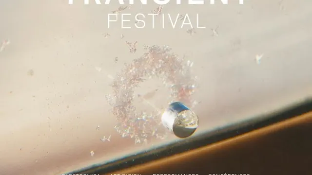 Transient Festival