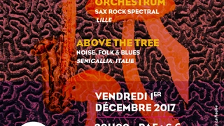 GruGrü + Spectrum Orchestrum + Above The Tree