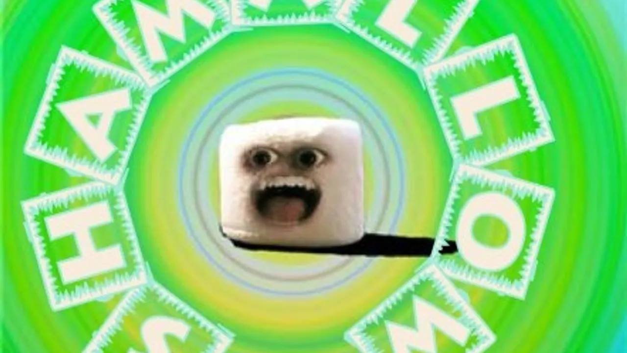 Shamallow Night