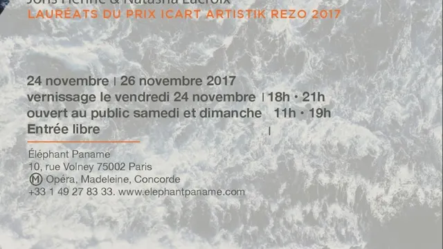 Exposition de Joris Henne & Natasha Lacroix - Lauréats du Prix Icart Artistik Rezo 2017