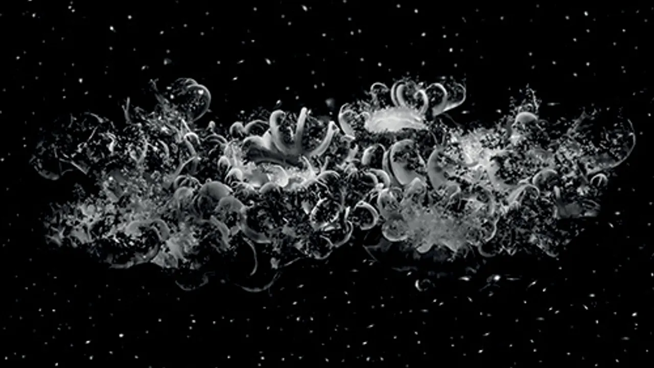 Poussières silencieuses // Sandrine Elberg