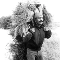 Cheech Marin