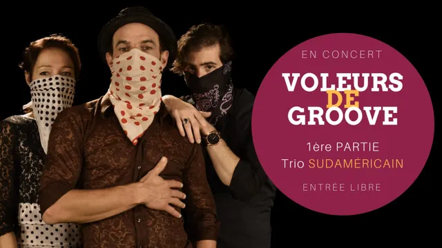 Voleurs de Groove