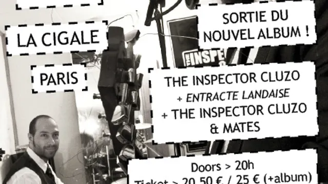 The Inspector Cluzo & Mates