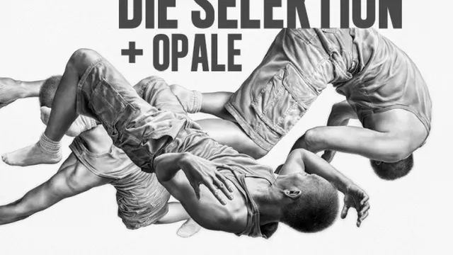 Flesh and Bones présente Die Selektion + Opale