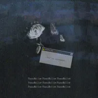 PhenoMellow