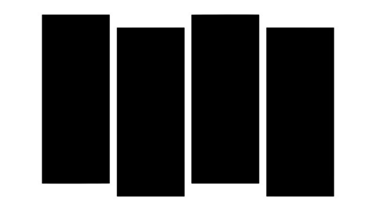 Black Flag + Guest 