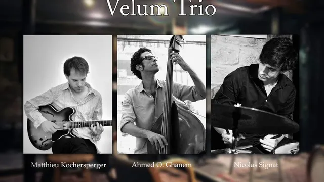 Velum trio