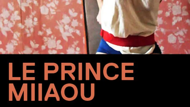 LE PRINCE MIIAOU