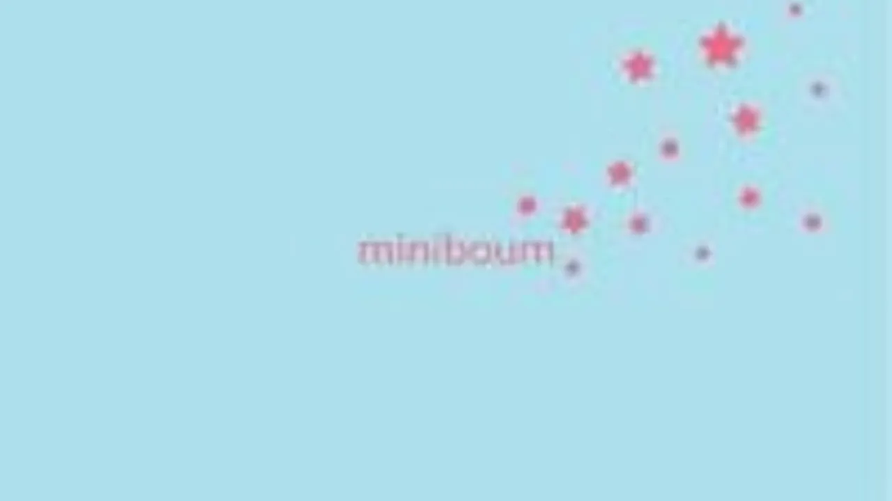 After Miniboum