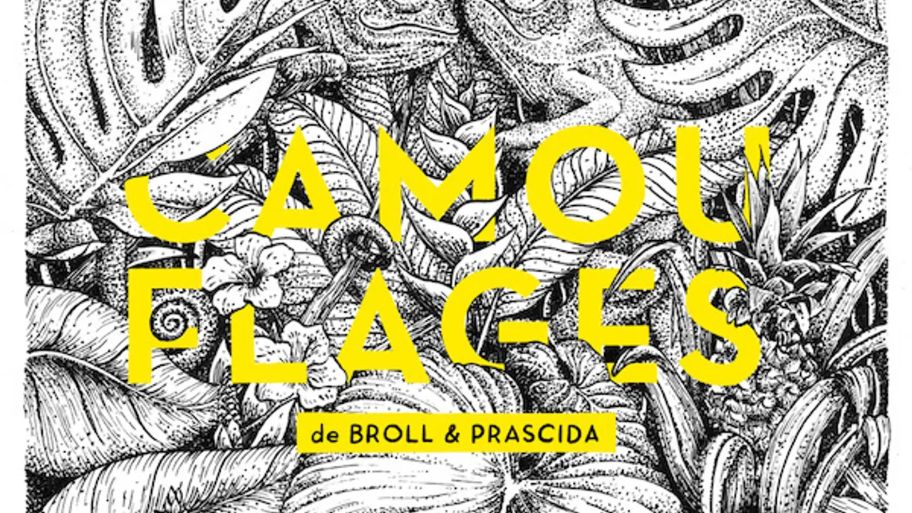 Broll & Prascida « Camouflages »