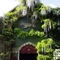 Musée des Arts Forains P