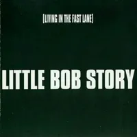 Little Bob Story