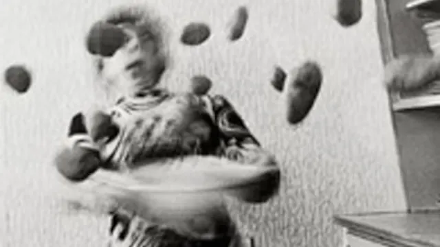Exposition Anna et Bernhard Blume : La Photographie Transcendantale