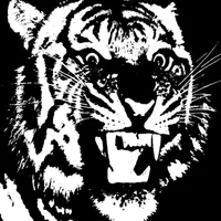 El Tigr3