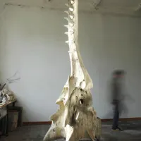 Monumentalis, une exposition de Quentin Garel