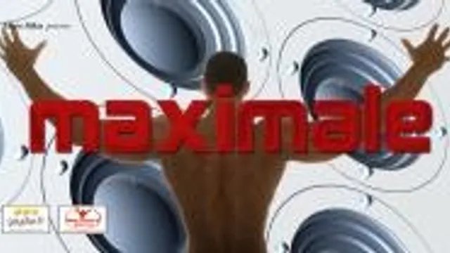 Maximale Gaydar