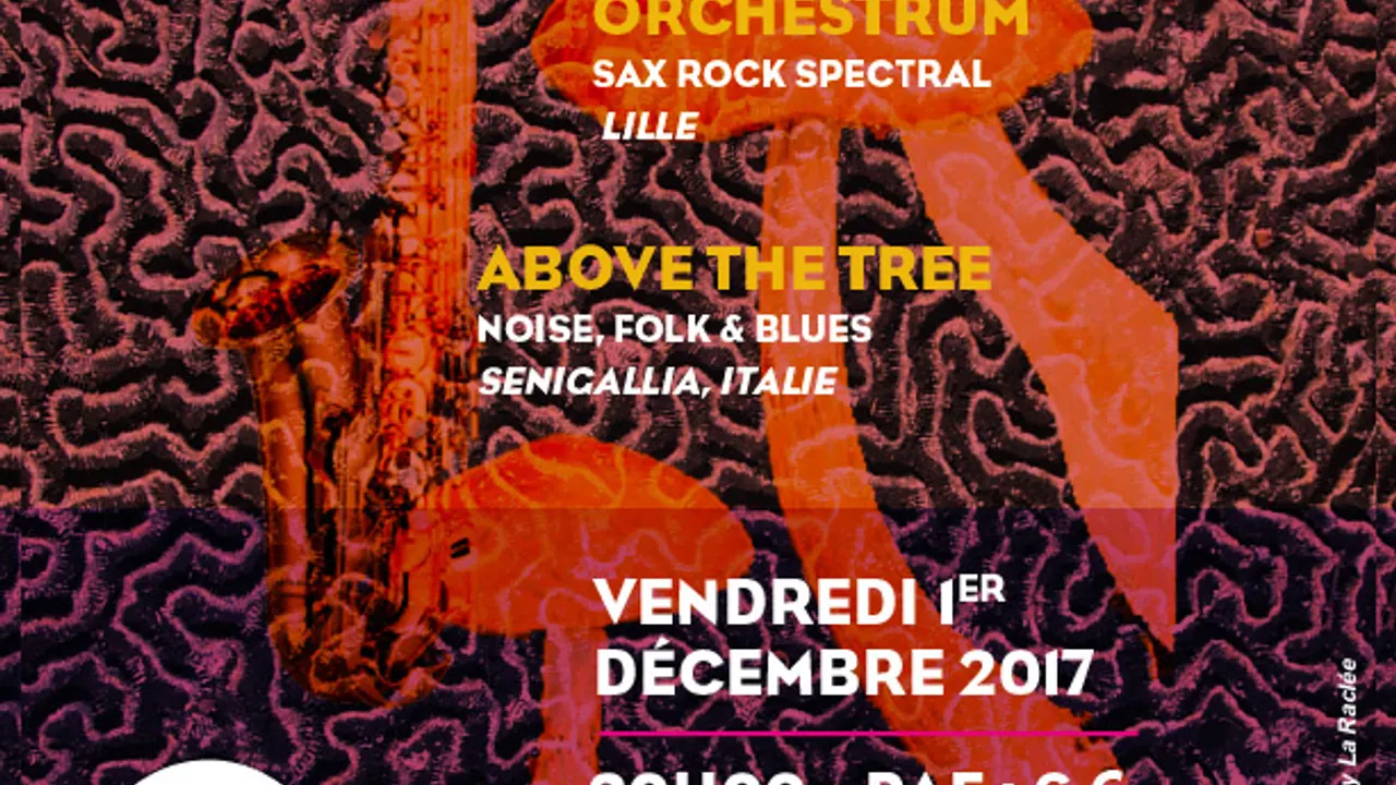 GruGrü + Spectrum Orchestrum + Above The Tree