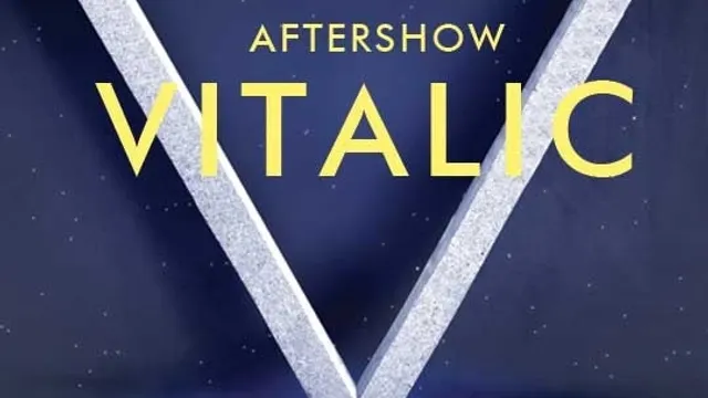 Vitalic Aftershow