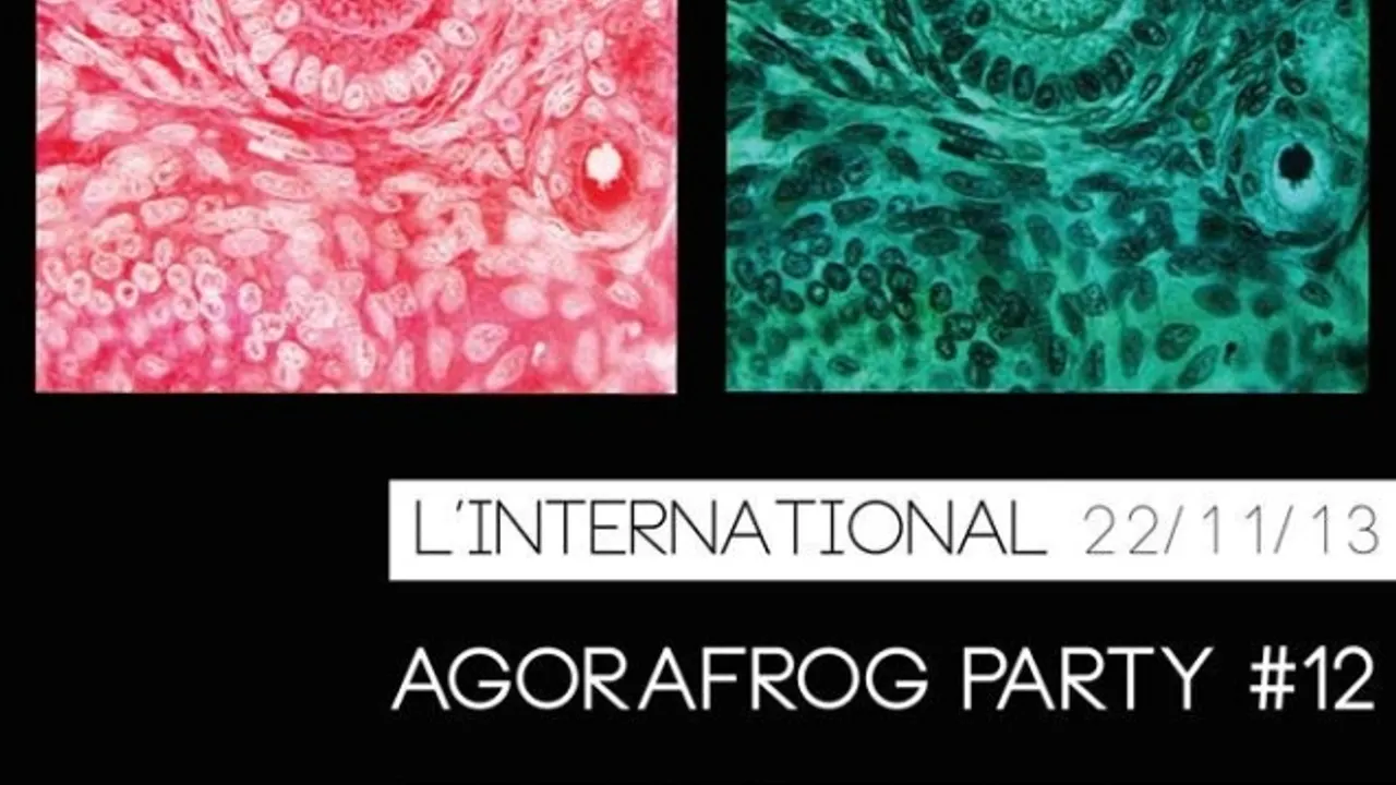 AgoraFrog Party#12 avec Armistice x Judy x Tender Tones
